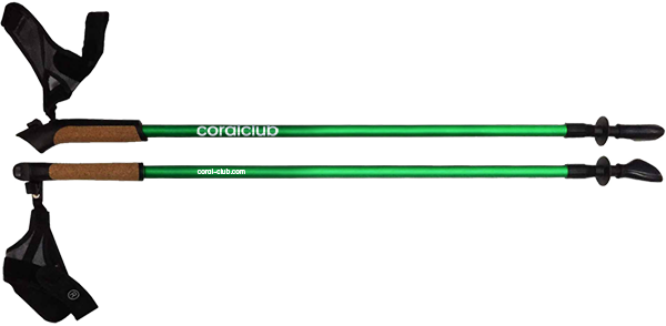 Nordic walking poles